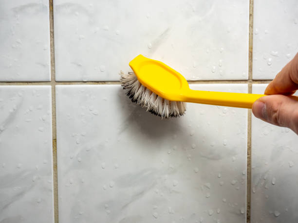Best Mold Damage Repair  in Goshen, CA