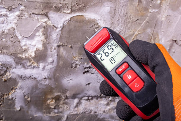 Best Mold Remediation  in Goshen, CA