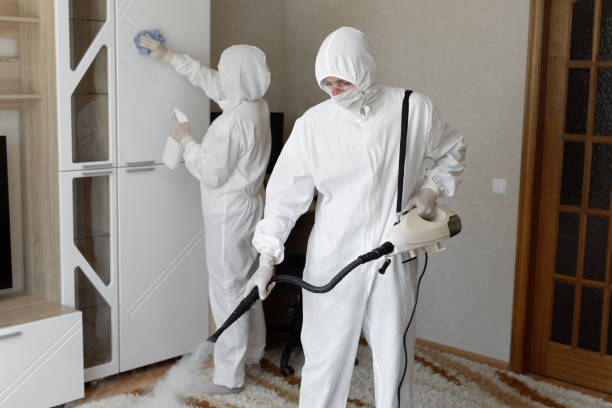 Best Attic Mold Removal  in Goshen, CA