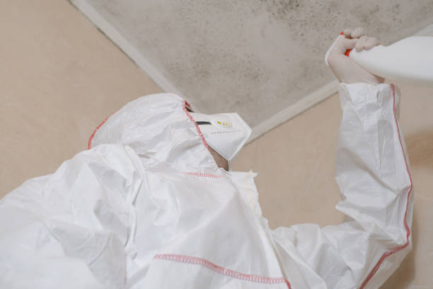 Certified Mold Removal in Goshen, CA