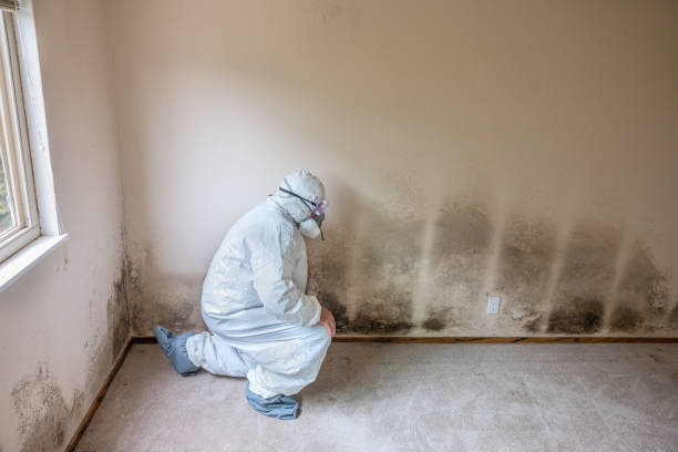 Best Mold Testing  in Goshen, CA