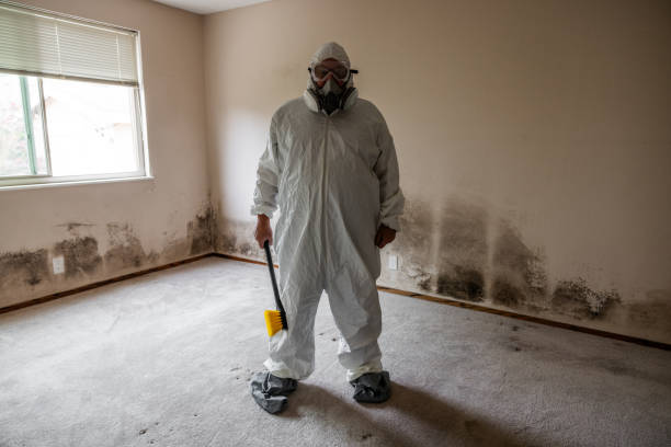 Best Commercial Mold Removal  in Goshen, CA