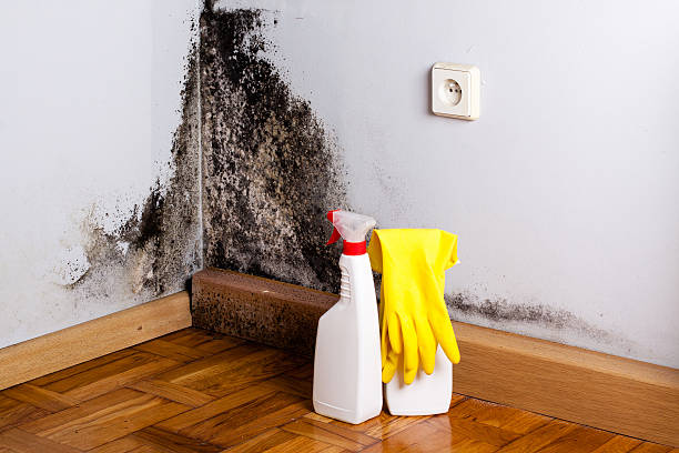 Best Residential Mold Removal  in Goshen, CA